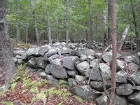 finds 008.webp