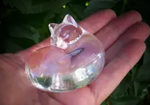 steub cat.webp