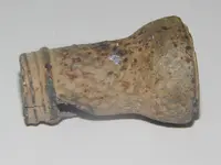 DSCN5938.webp