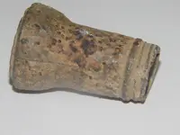 DSCN5939.webp