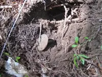 finds 020.webp
