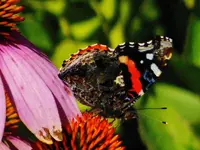 FSCN8890.webp