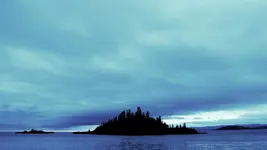 14898739961_a625bb59da_o.webp