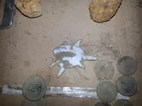 2014-08-12 21.32.18.webp