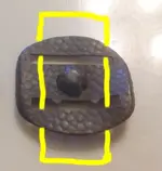 Buckle.webp