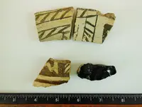 DSCN1570.webp