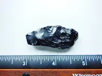 DSCN1559.webp