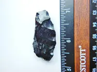 DSCN1562.webp