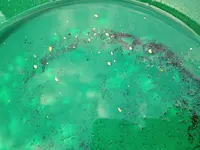 IMG_3068.webp IMG_3068.webp