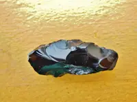 DSCN1564.webp