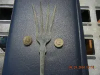 DSCN1959.webp