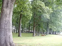 DSCF0002.webp