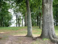 DSCF0003.webp