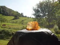 More Citrine and topaz for Tnet 008.webp