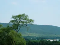 DSCF0006.webp