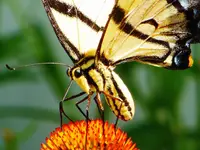 FSCN5568.webp