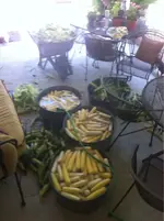 image-597336536.webp