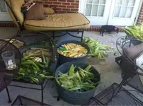 image-189110085.webp