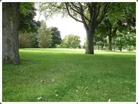 SDC18899.webp
