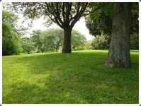 SDC18900.webp