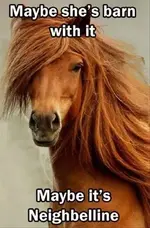 horsey.webp