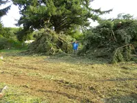 DSCN4705.webp