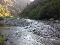 CAM00386.webp
