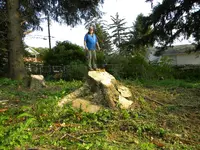 DSCN4713.webp