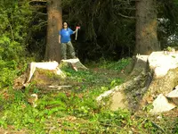 DSCN4718.webp