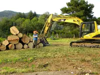 DSCN4695.webp
