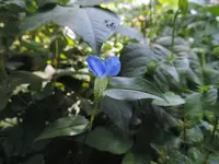 K1600_001.webp