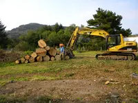 DSCN4696.webp