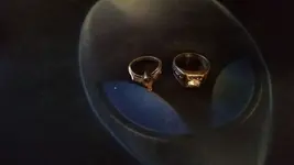 Rings.webp