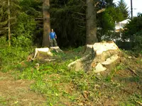 DSCN4716.webp