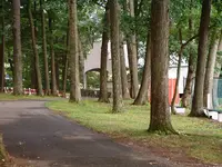 DSCF0005.webp