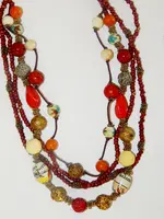 DSCN6182.webp