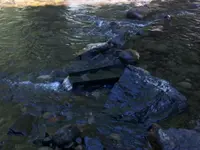 image-2765299771.webp