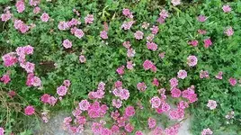 IMG_20140813_182942.webp