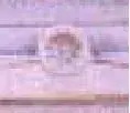 seal.webp