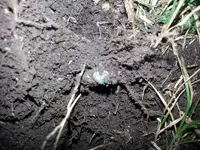 20140817_160915.webp