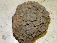 2014-09-13 19.21.22.webp