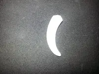 CPToothClaw.webp