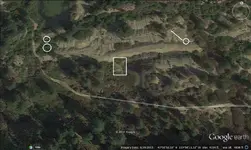 tpdowsed.webp