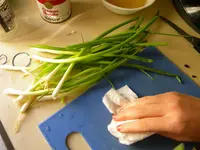 DSCN4878.webp
