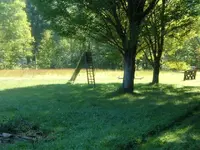 DSCF1445.webp