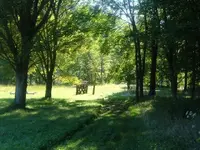 DSCF1446.webp