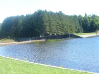 DSCF1454.webp