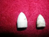 DSCN9670.webp