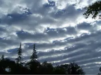 clouds 001.webp