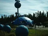 WildBlueberryLand.webp